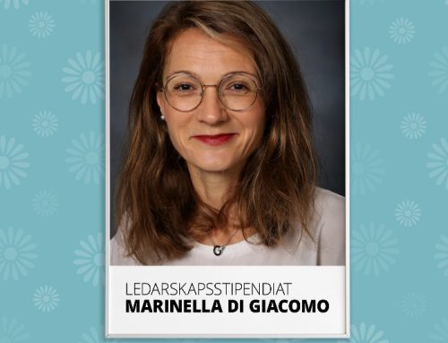 Ledarskapsstipendiat till IRMA 2026